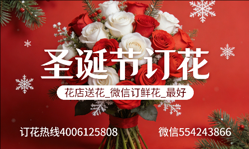 保定莲池区花店送花_微信订鲜花_圣诞节订花_最好? 保定莲池区花店