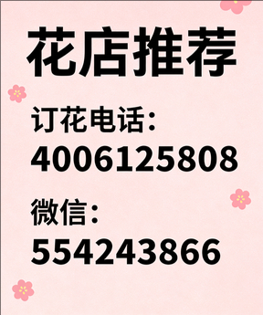 保定莲池区花店哪家好